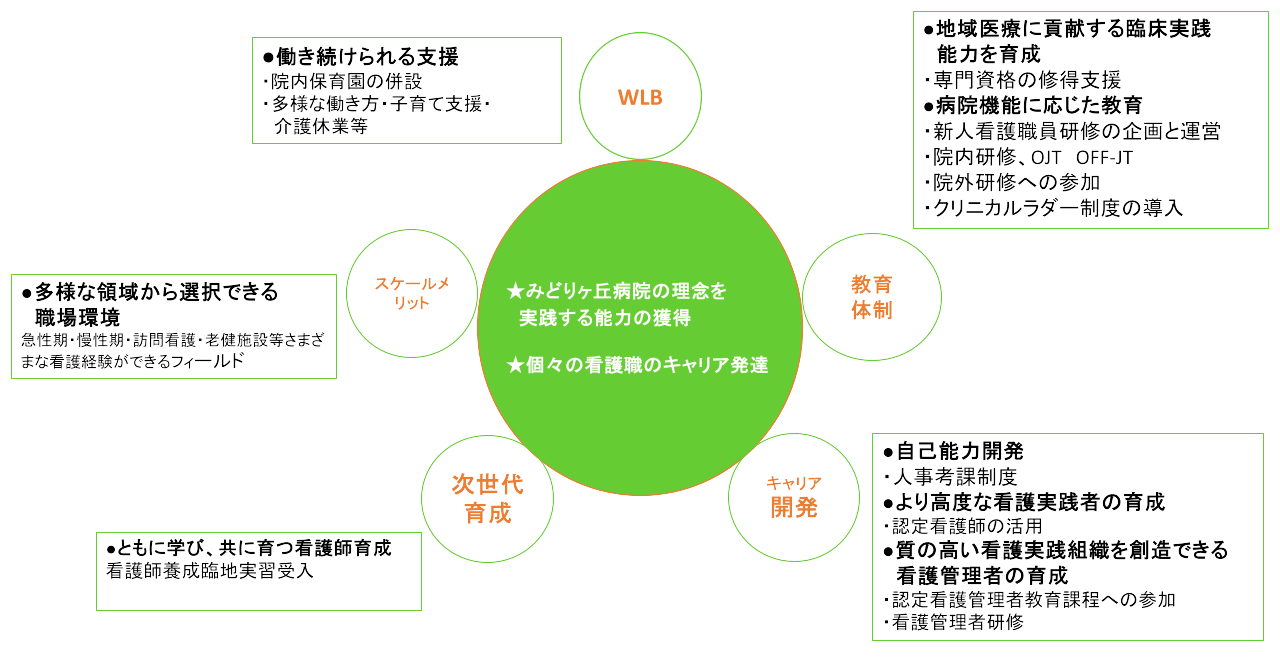 看護師の人材育成